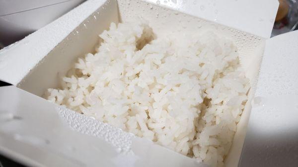 Jasmine Rice