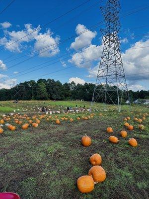 Gallmeyer Farms