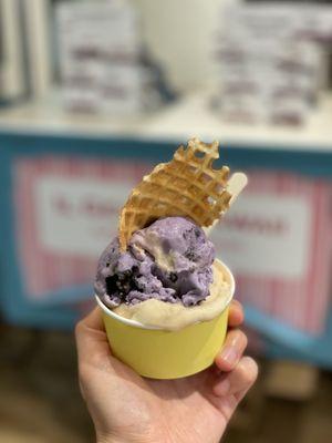 Ube cookies and cream + lilikoi sorbetto