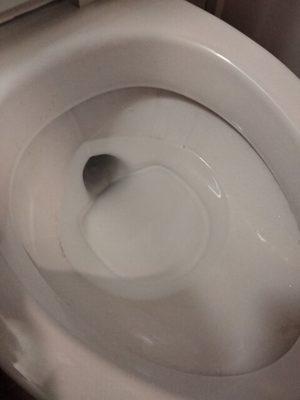 Mold in the toilet