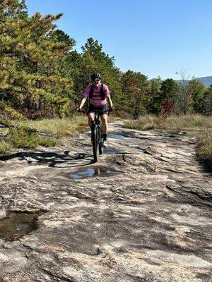 The Bike Farm