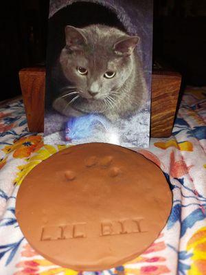 The red clay paw print and a photo of my kitty that. I already had.