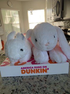 Bunnies want donuts for Easter!