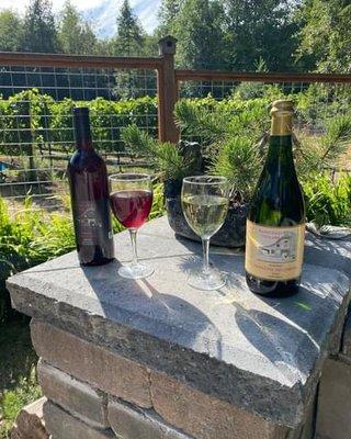 Try our delicious estate Pinot Noir and Sparkling Siegerrebe