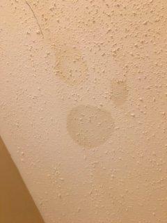 bathroom ceiling damage