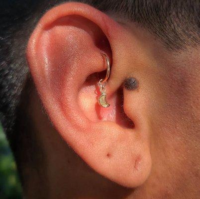 This fully healed rook got an upgrade with the, "Luna" charm from Hialeah Fine Jewelry!