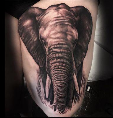 Elephant tattoo