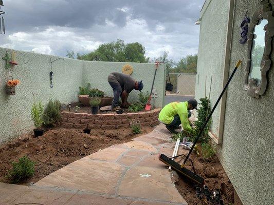 Armando's crew working on installing the irrigation and getting ready to dig in the plants.................