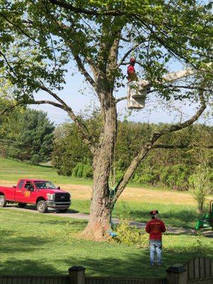 My kids loved the Bucket Truck!