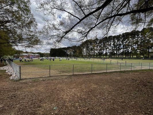 Dorothea Dix Dog Park