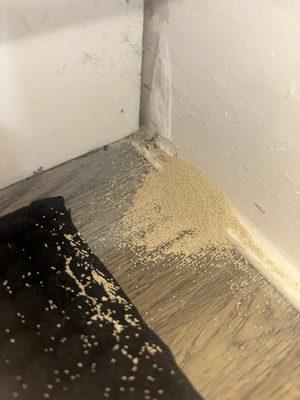 Termite Frass that keeps pouring out of the wall like water. Reappears immediately after cleaning