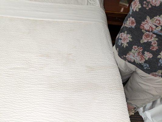 Brown stains (Bed Spread)