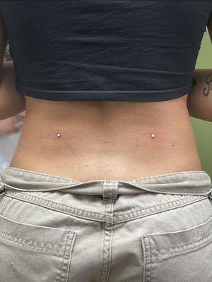 Back Dermals by Danny