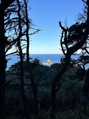 Port Orford Heads State Park