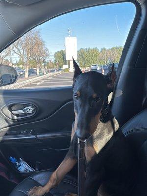 Caliber and his mommy driving home