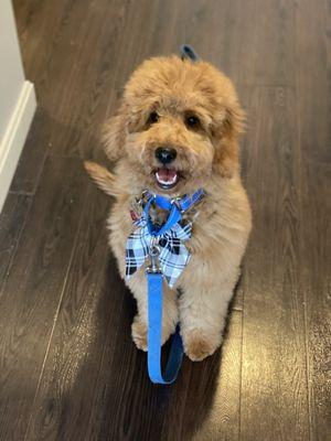 Riley's first groom!