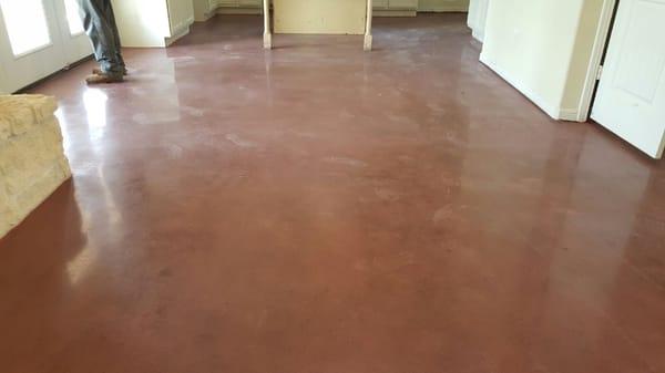 Mahogany stained polished concrete Houston, Tx