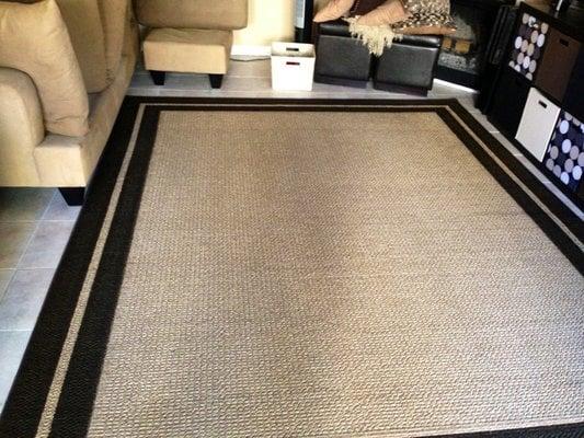 Area rug...no more pet spotting!