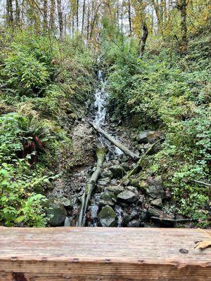 Newell Creek Canyon Nature Park