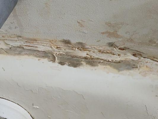 Mold due to a leak in the ceiling. They have no gutters this will continue until they have some installed.