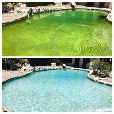 A two day turnaround for one of our La Canada clients. It all starts with proper water chemistry and filtration.