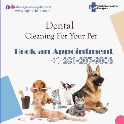 Dental Cleaning for your Pet