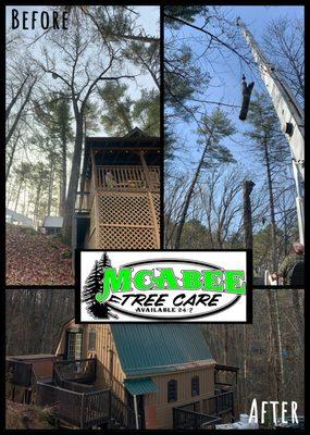 McAbee Tree Care