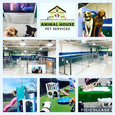 Almost 10,000 sq ft. Of indoor animal space and a huge outdoor area with slides, trampoline and pools.