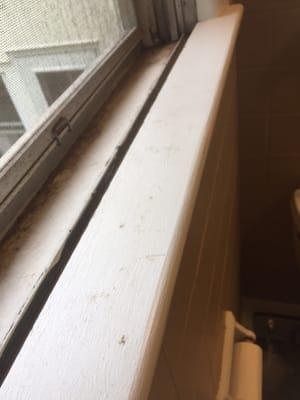 Window sill was not wiped down at all