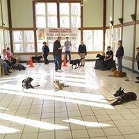 All Stars class! Everyone here has had some kind of issue with their dogs, after working hard they have the obedience they've always wanted!