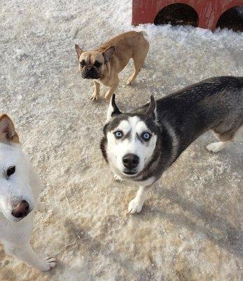 Happy girl with her friends!