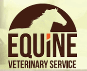 Equine Veterinary Service