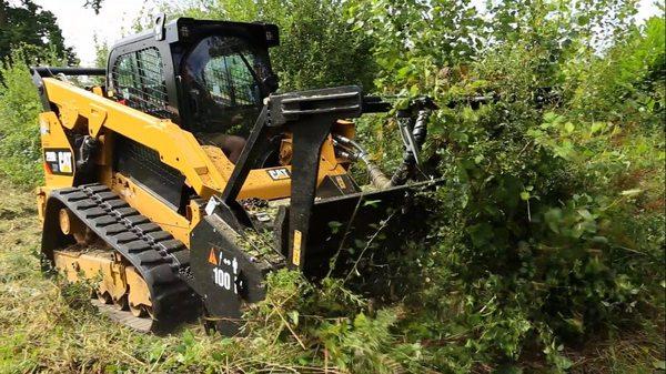 Clearing the under brush.