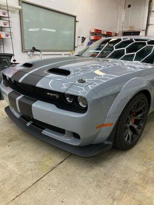 Hell Cat Racing Stripe