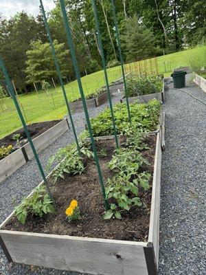 Raised beds