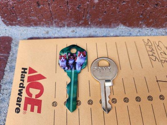 Key copies made $3.99 plain keys and kitten key $5.99. If you didn't laugh at that, you're too serious. It's hilarious!