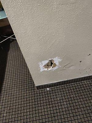 Hole in wall