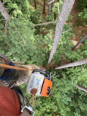 Trimming some  trees in Arlington MA 
Give us a call free ESTIMATE...