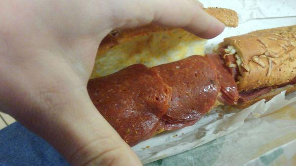 Spicy Italian Sub.