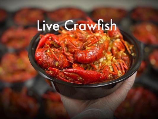 Cajun Crawfish