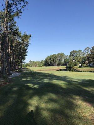 Beautiful opening to fairway from tee box.