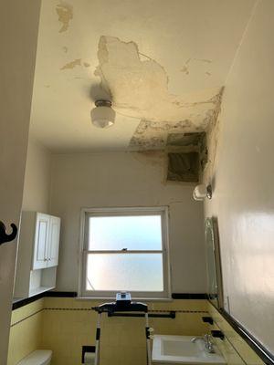 Roof leak, water intrusion, water damage, mold growth they all go hand to hand.