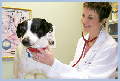 Dr. Susan Hubbard, our Hospital Director, performing a physical exam on Oreo