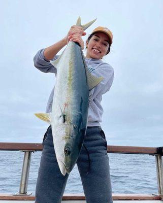 Yellowtail