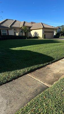 Perfectly Mowed Lawn