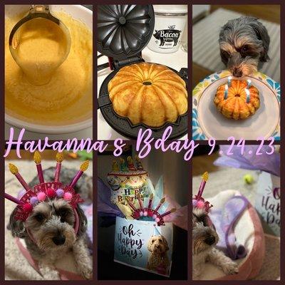 Happy Birthday Havanna!! 9.24.23