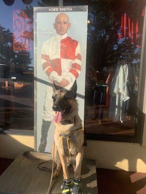 Service Dog In Training (K9 Bodhi) posing next to the Mike Smith poster outside of the gift shop.