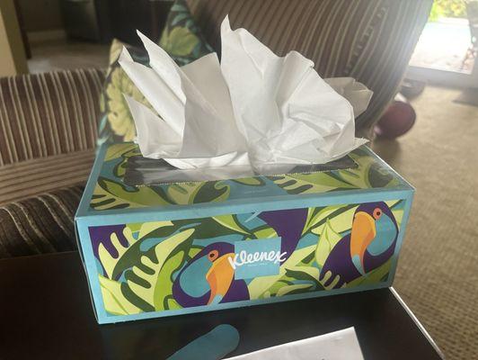 Look how cute this Kleenex box is in living room!