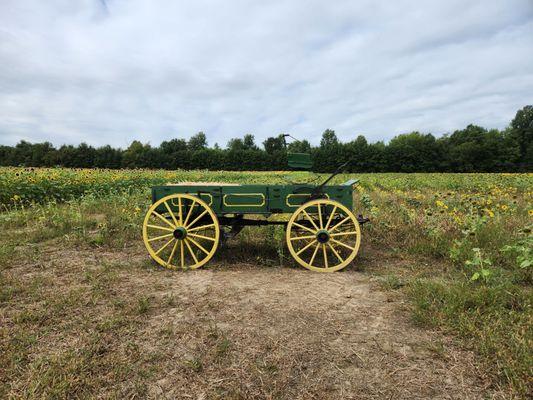 Photo op carriage