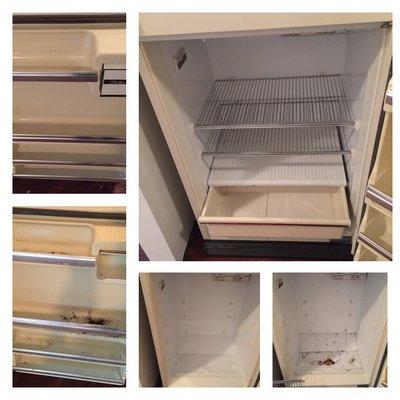 Before and after..refrigerator cleaning with mold.